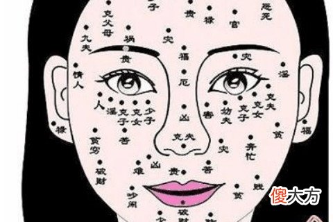 面相看女人下巴痣相图解大全