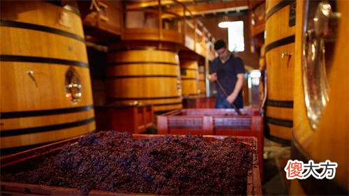 法国波尔多以产白葡萄酒为主 小皮葡萄酒