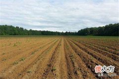 知道一亩等于多少平方米吗 问一下一亩等于多少平方米