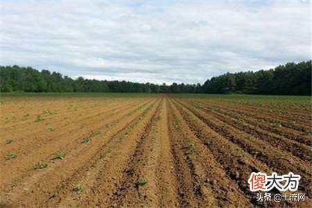 知道一亩等于多少平方米吗 问一下一亩等于多少平方米