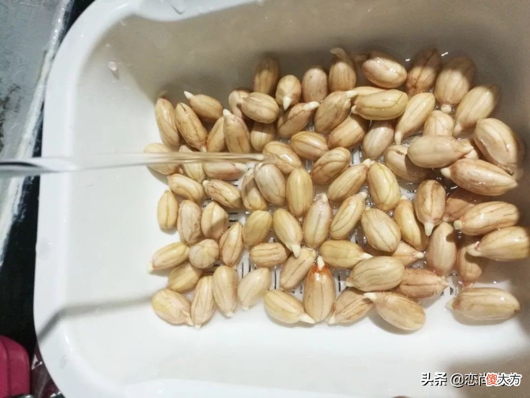 过年就能吃到新鲜的豌豆苗 新鲜豌豆苗怎么吃