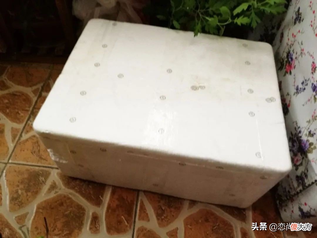过年就能吃到新鲜的豌豆苗 新鲜豌豆苗怎么吃
