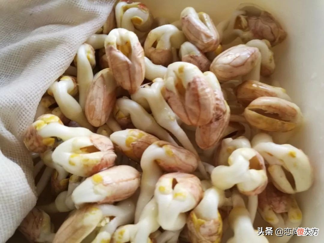 过年就能吃到新鲜的豌豆苗 新鲜豌豆苗怎么吃