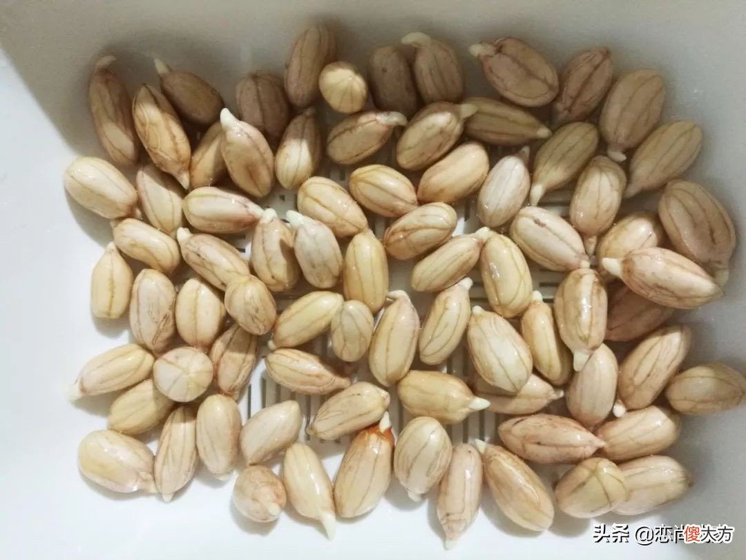 过年就能吃到新鲜的豌豆苗 新鲜豌豆苗怎么吃