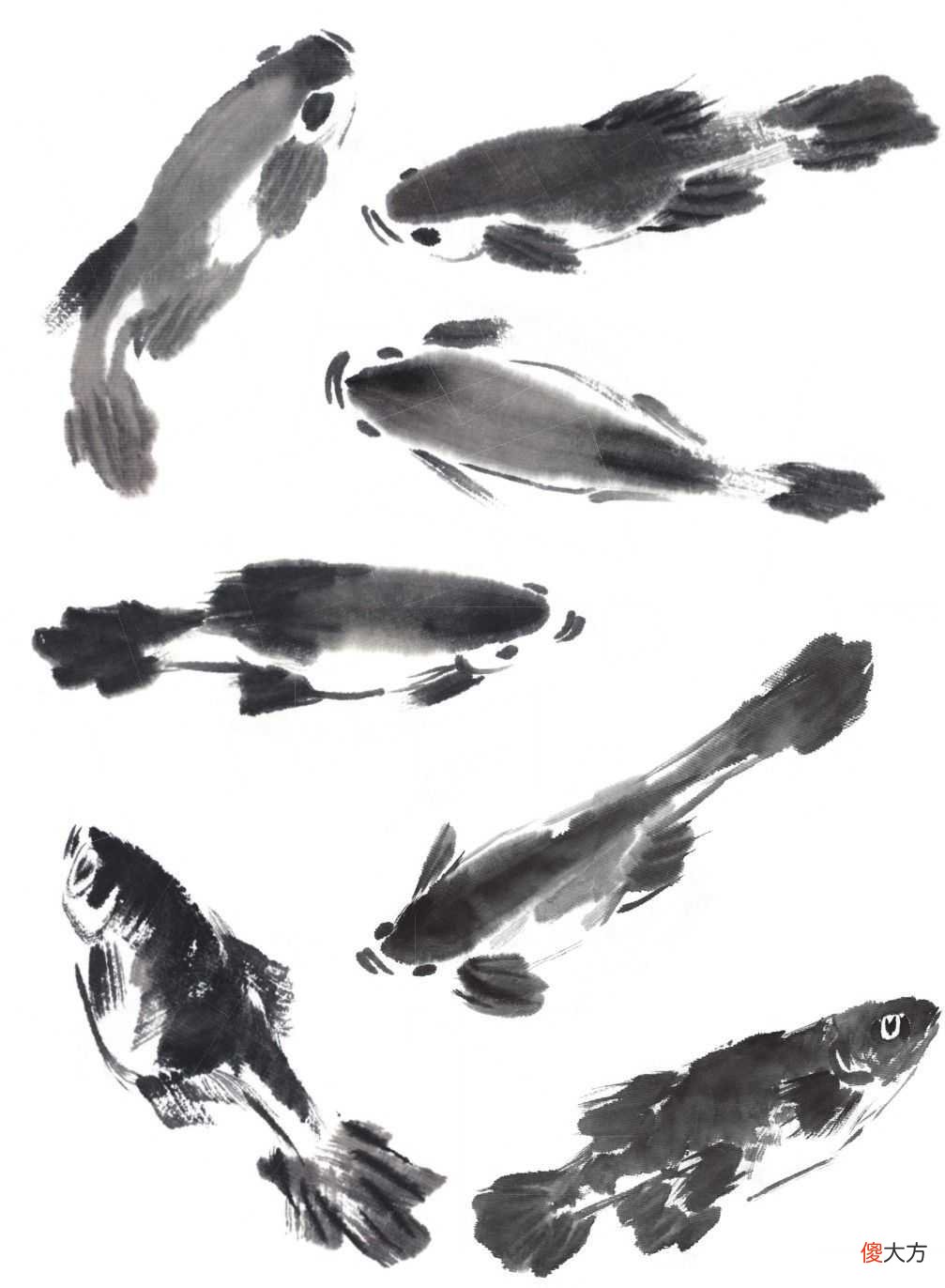 柳条鱼创作的画法 柳条的画法怎么画