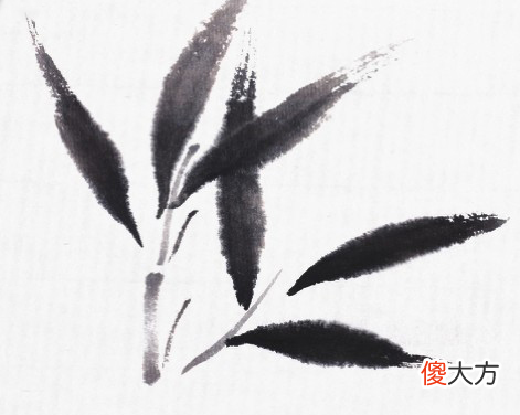 中国画竹叶的起手式画法 竹叶的画法 中国画