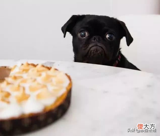 我劝你别再计算卡路里了，因为卡路里理论有致命缺陷