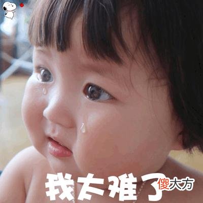 能吃到些什么东西 可以吃的东西有什么