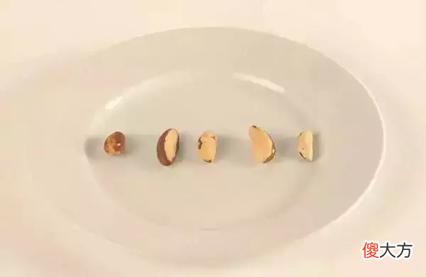 能吃到些什么东西 可以吃的东西有什么