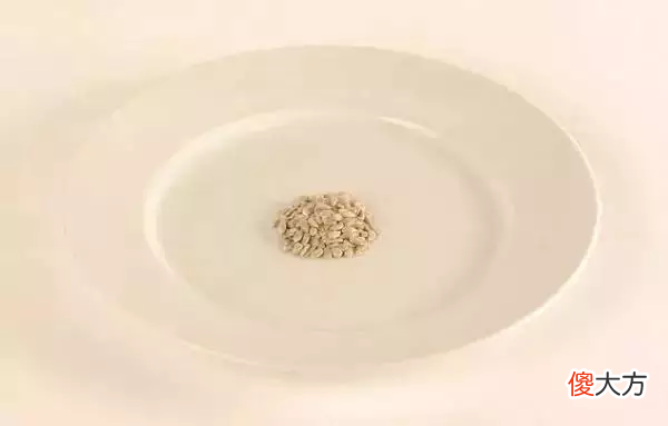 能吃到些什么东西 可以吃的东西有什么
