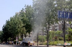 杨絮又双叒叕猖狂了，看合肥这次出什么招