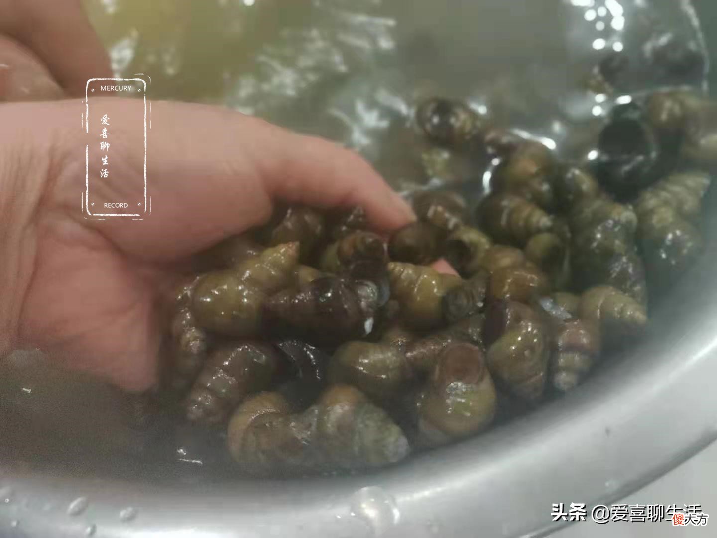 螺丝这样做才好吃 螺丝怎样做最好吃