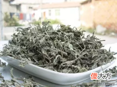张家界莓茶是什么 张家界莓茶是什么树叶