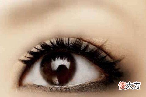 容易上当的大眼睛女人面相分析