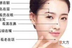 狮子鼻的女人面相解析