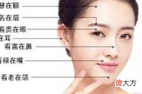 狮子鼻的女人面相解析