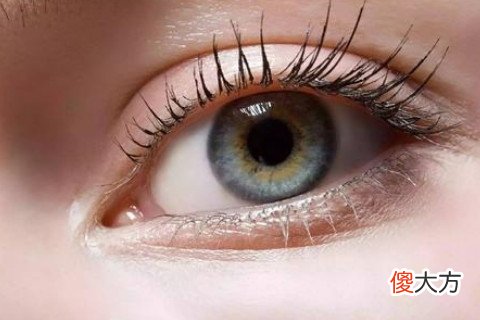 眼睛圆的女人面相什么命运