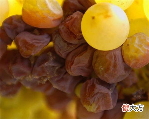 博世双开门冰箱制冷效果不好 博世冰箱不制冷西安维修电话