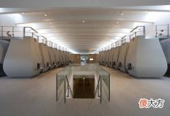 白葡萄酒怎么酿造出来 自酿白葡萄酒的做法