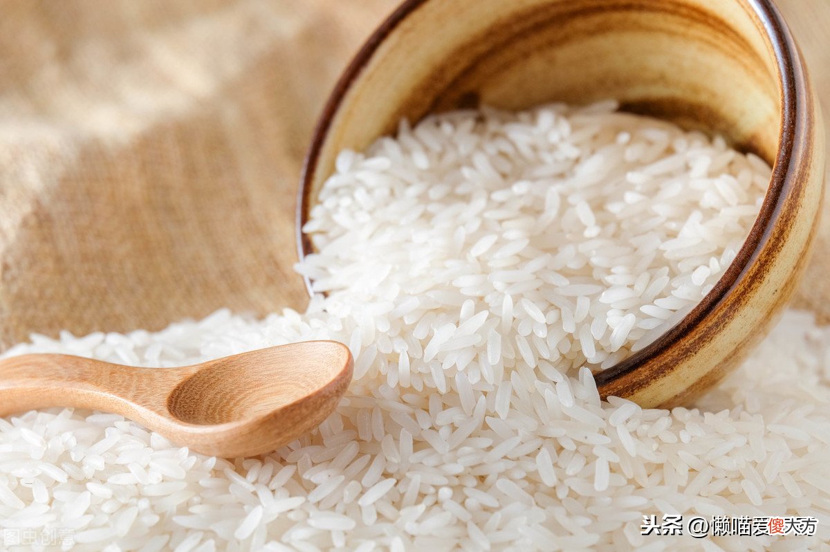 保存大米这么简单 大米怎样保存