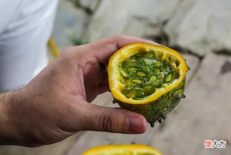 3种刚引进就被炒成高端货的水果 哪些水果是引进的