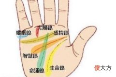 手相呈m型的女人命运怎么样