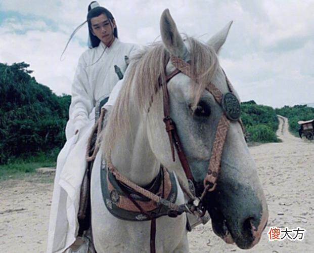 【历史故事】雪中悍刀行 徐凤年为什么要习武，还要去北莽游历