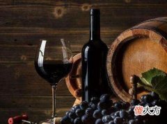 北京红酒怎么代理加盟 茂名红酒代理加盟