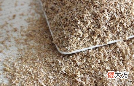 这六种饲料的营养作用你真知道吗 饲料什么用