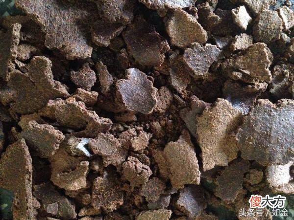 这六种饲料的营养作用你真知道吗 饲料什么用