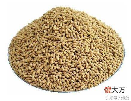 这六种饲料的营养作用你真知道吗 饲料什么用