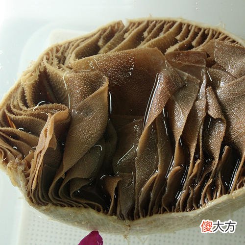 到底有什么区别 喜欢和爱到底有什么区别