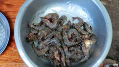 大虾加上这一食材炒着吃 大虾煮着吃怎么做放什么材料