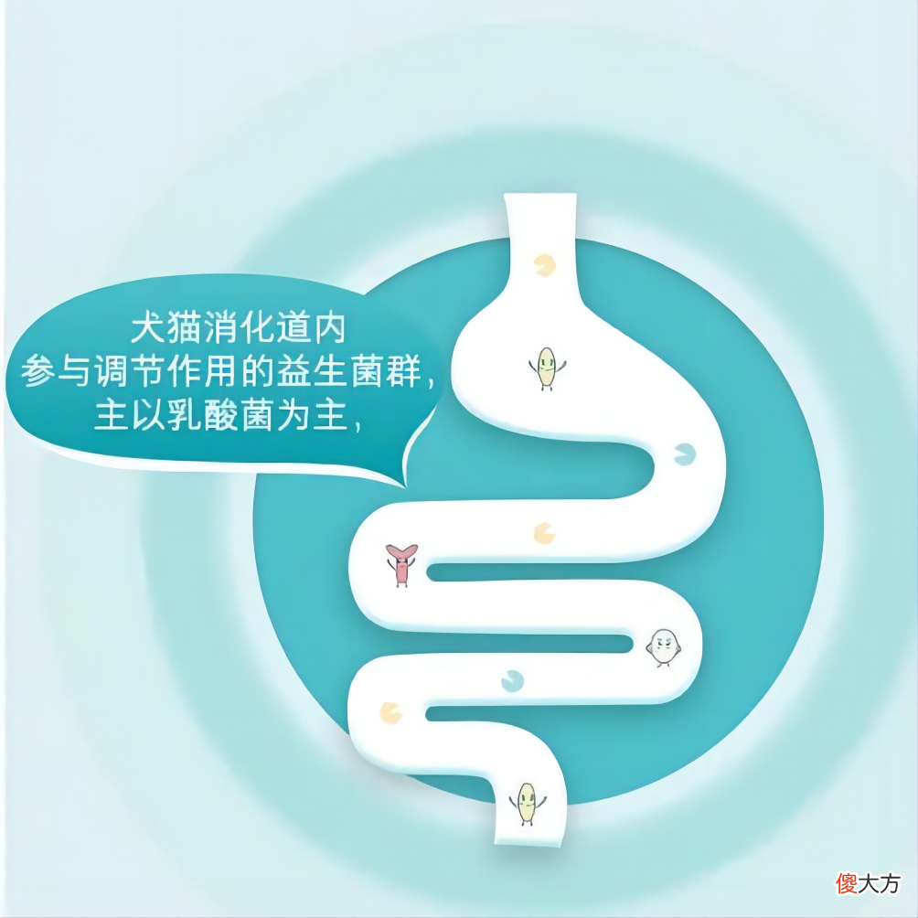 自闭症儿童的胃肠道问题