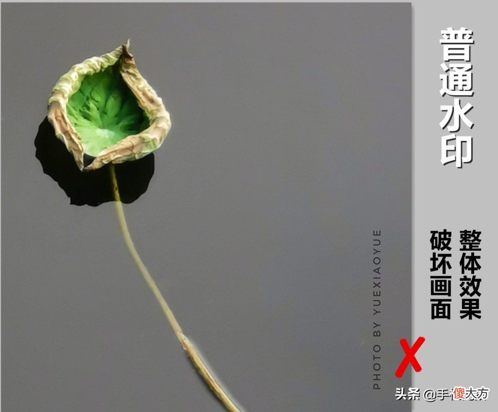 如何给照片加个漂亮的水印 怎么给照片加好看的水印