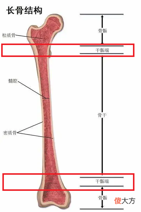 以为孩子在长高，一查竟然得了癌！有这4个症状，快带娃去医院！