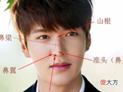 鼻梁塌陷面相代表了什么运势,鼻梁塌一生命苦吗?