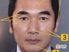 塌鼻子面相的人命运怎样,命运真的不好吗