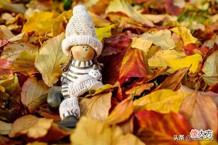 跟咸鱼有什么区别 人如果没有梦想跟咸鱼有什么区别