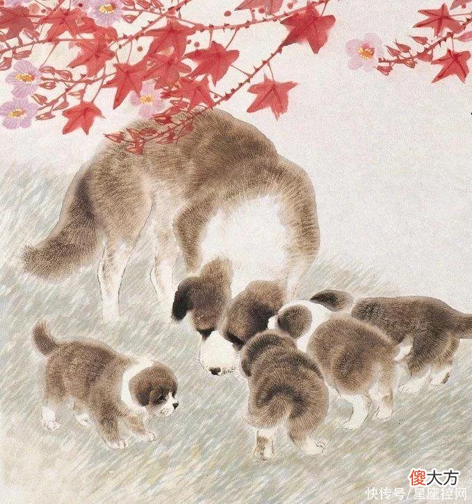 【十二星座】今年过半以前，四生肖钱财有所收获，钱包从瘦变胖，事事顺心