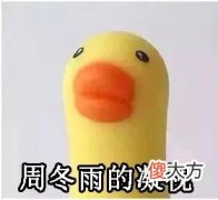手机屏幕探究 手机屏幕研究