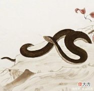 【星座控】5月一文不名，6月一飞冲天，四生肖苦熬出头，赚钱破纪录