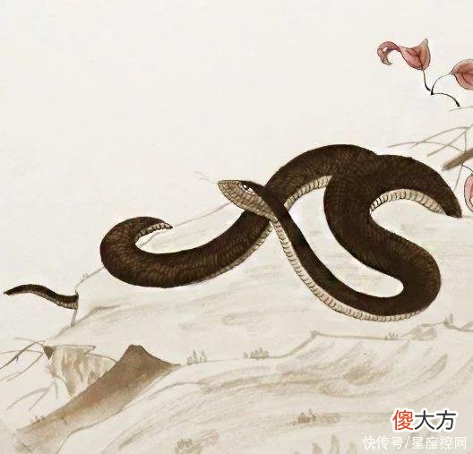 【星座控】5月一文不名，6月一飞冲天，四生肖苦熬出头，赚钱破纪录