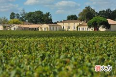 法国什么酒庄的红酒好 如何卖好红酒