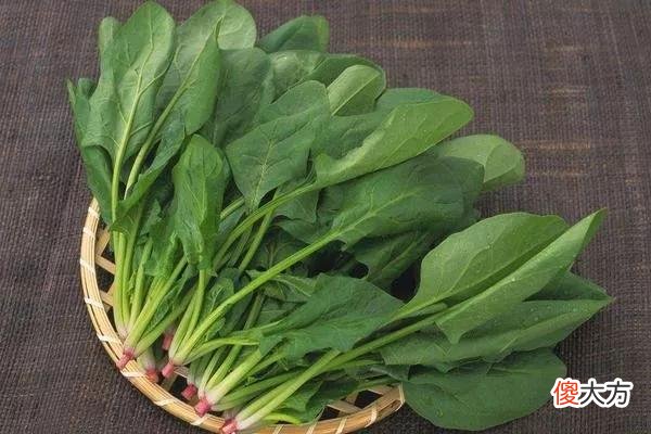 盐的十大妙用你知道几个 什么用盐多