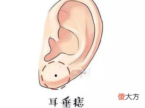 通过耳朵看人的性格特点如何