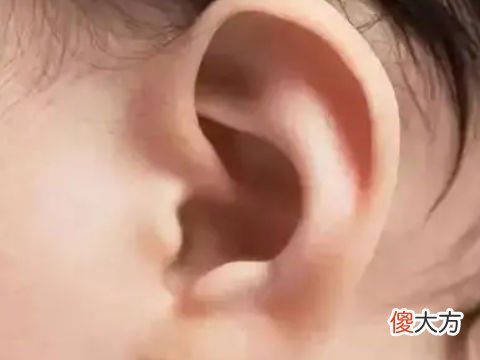 耳朵看相之常见的女性耳相有哪些