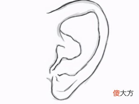 招风耳的面相好不好,招风耳的面相分析