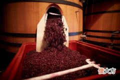 李斯特城堡干红葡萄酒 红酒斯特拉