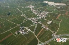 葡萄酒可以在冰箱中长期保存吗 葡萄酒放冰箱保存好还是冷藏好
